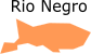 rio negro
