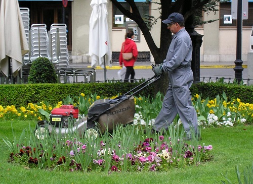 Empresas De Parques y Jardines En Flores Uruguay
